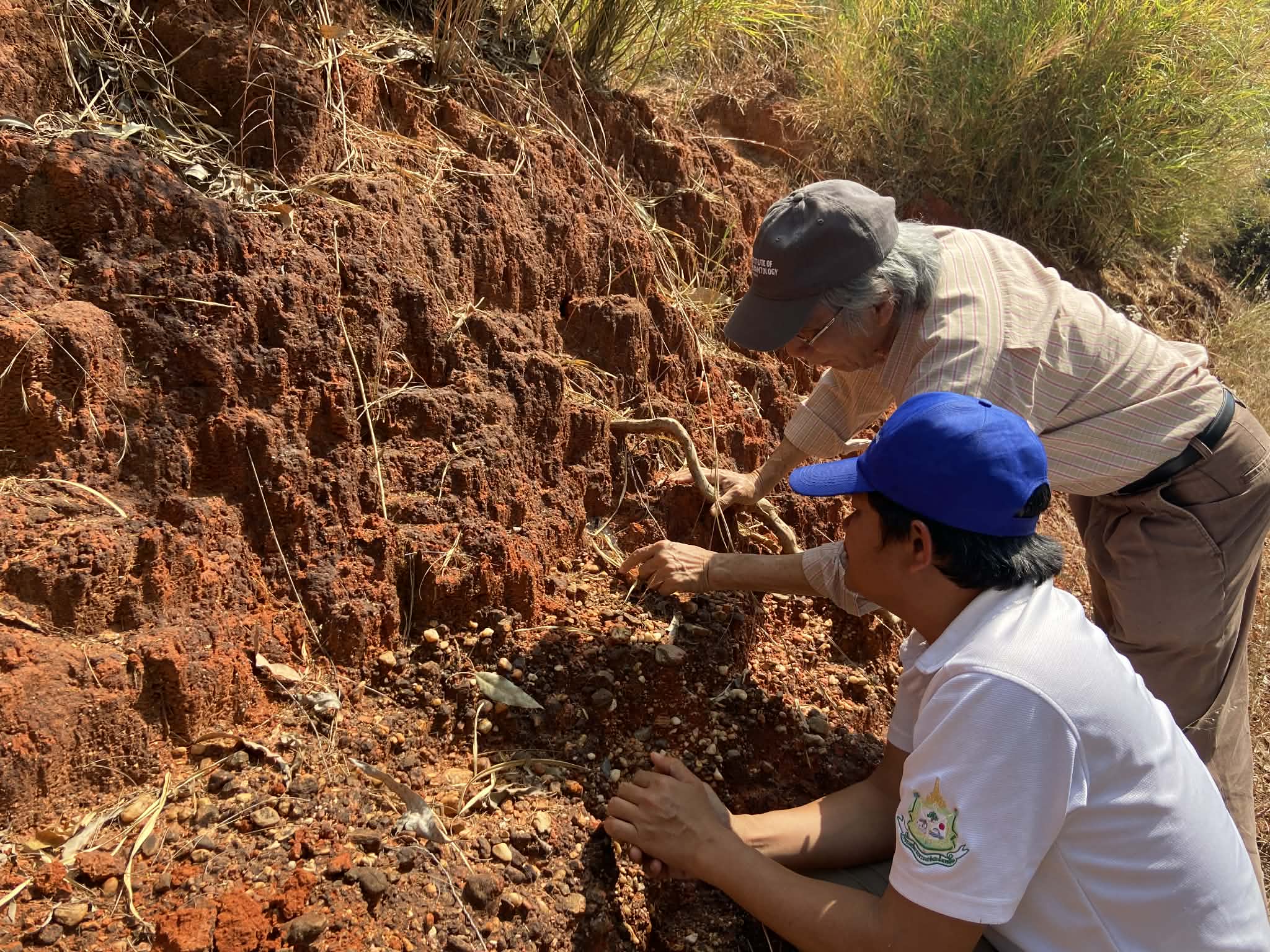 622661439 1546106197232074 8823356421685381700 n